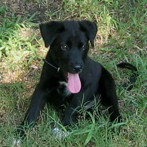 Fundraising Page: Melissa McAnnally